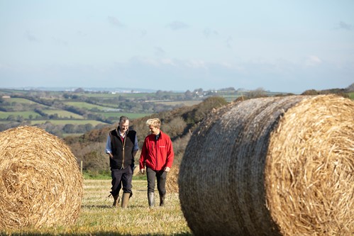 Farming Insurance Experts